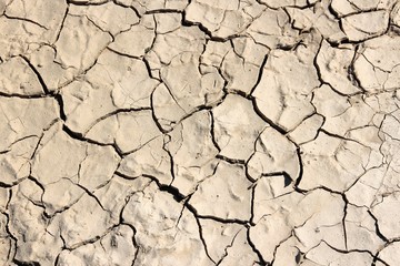 Dried mud pattern
