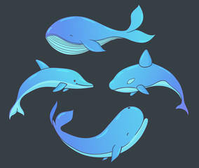 Obraz premium Set of vector underwater life with whales and dolphin. Sea creatures isolated on the dark background.