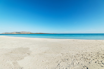 Fototapeta na wymiar white sand in La Pelosa beach
