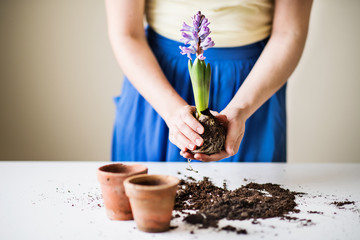 Young woman planting flower seedlings at home.