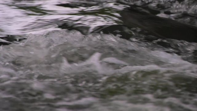 Wasser slow motion