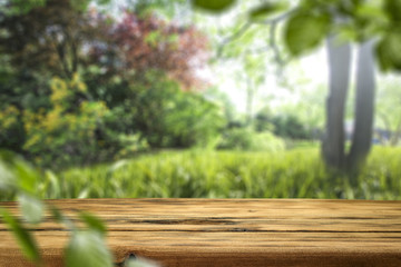 table background and spring time 