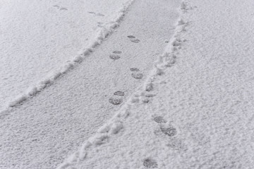 a ground covered with fresh snow and a print of human footsteps, snow texture, white winter wallpaper