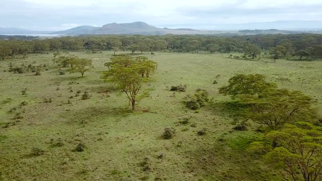 aerial view of african savannah in Kenya