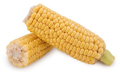 Ear of corn. Two fresh corncob, cut in half