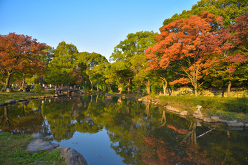 Fototapeta premium 大阪市内の大川沿いの公園の池