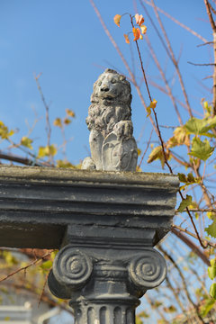 Stone lion on gate