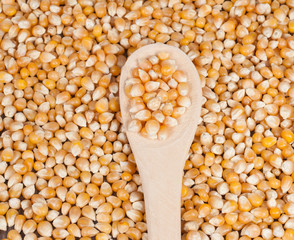 cob on the wooden table