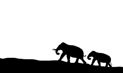 silhouette elephants in the landscape on white background
