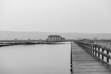 Obraz premium Greyscale image of Secovlje Salt Pans natural and culture heritage