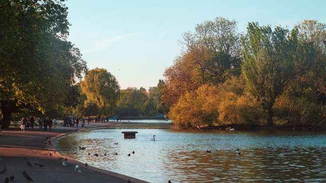 Autumn in the park