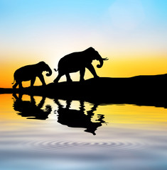Fototapeta na wymiar silhouette elephants in the landscape 