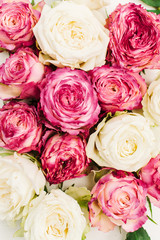 Closeup of red and white rose buds. Flat lay, top view.