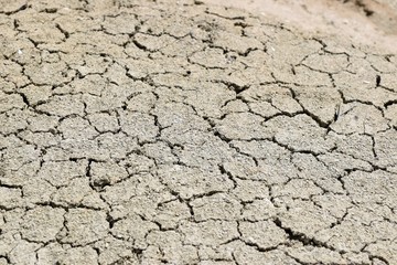 dry earth texture