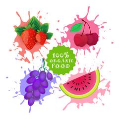 Set Of Fruits Over Paint Splash Background Fresh Juice Logo Natural Food Farm Products Concept Vector Illustration