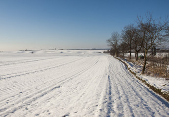 Fototapeta premium snowy field