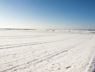  snowy field