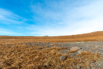 Mountains, valleys, lake and meadow in Iceland