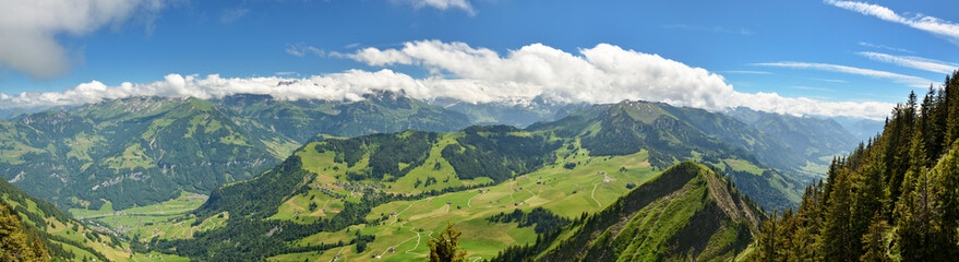Typical swiss landscape with Alps in background