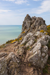 Rocks on the coast of famous Mont Saint-Michel bay with bright spots of yellow wildflowers, Normandy, France