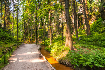 Footpath through the rock city in Adrspach - National Nature Reserve in the Czech Republic, Europe.