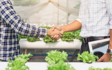 Handshake of business partners, farmers on green farm background. Farmer with tablet for working organic hydroponic vegetable garden at greenhouse.