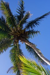Fototapeta premium Corn Islands