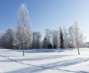 Beautiful winter wonderland wallpaper from Finland. Sunny and cold weather in Finland.