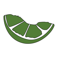 Lemon slice isolated vector illustration graphic design