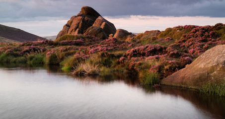Sun setting onthe heather at Doxey pool on The Roaches