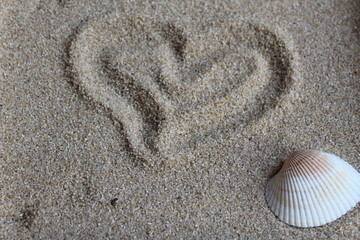 Herz im Sand gemalt und Muschel