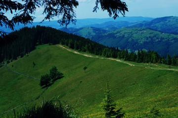 Длинная горная дорога и лес