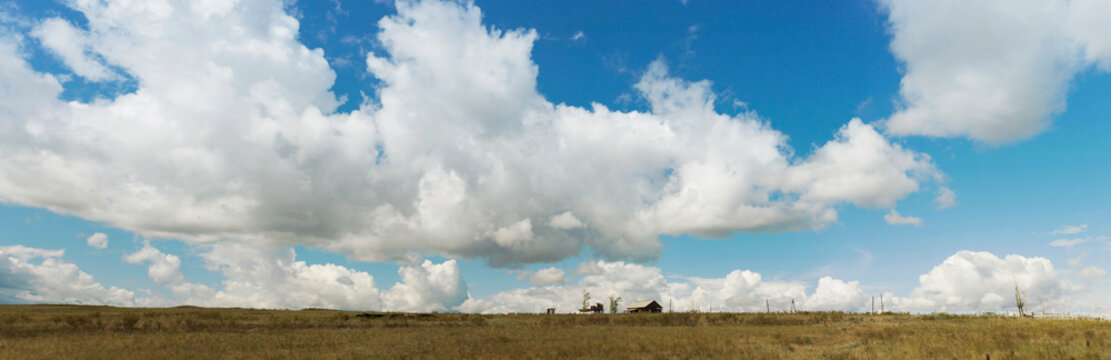 Panorama. Landscape. Tyva. Steppe. Sunny summer day. Outdoors