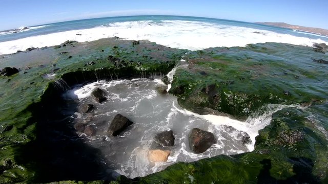 Vulkanstrand mit Algen bei La Pared, Westk&uuml;ste, Wellen,. Brandung, Fuerteventura, Atlantik, Meer, 4K