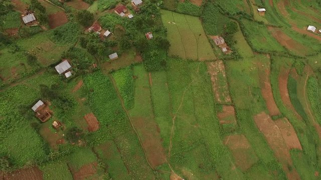 Aerial view of houses and fields