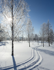 Beautiful wintry wallpaper. Winter landscape from Finland on a cold and sunny morning. Frosty trees and snow covered scenery.