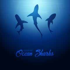 Underwater background with sun rays and silhouette of Shark. Deep Ocean banner. Color vector illustration
