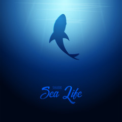 Underwater background with sun rays and silhouette of Shark. Deep Ocean banner. Color vector illustration
