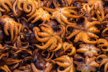 Street Food-Grilled Squid