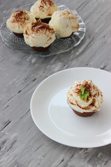 chocolate cupcakes