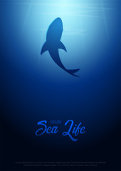 Underwater background with sun rays and silhouette of Shark. Deep Ocean poster. Color vector illustration