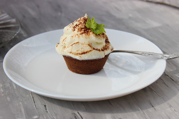 chocolate cupcakes