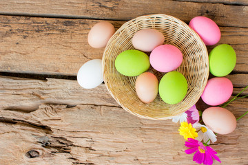 Colorful easter egg in the nest on wood background with space