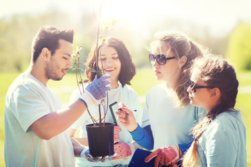 volunteering, charity, people and ecology concept - group of volunteers with clipboard planting trees in park