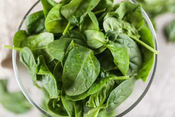 Baby spinach leaves