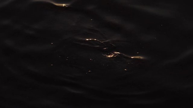 夕暮れの川の水面