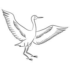 vector contour heron bird on white childish coloring book