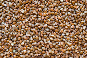 Brown and Close up Buckwheat Grains Background