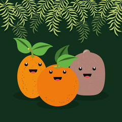 citric fruits design