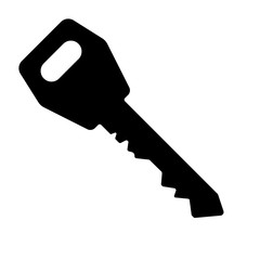 Key, simple vector illustration. Icon.